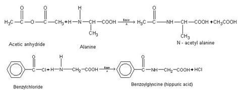 Amino Acids Properties - Study Material for IIT JEE | askIITians