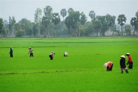 Mekong Delta explorer on pedals 3 days - TNK Travel