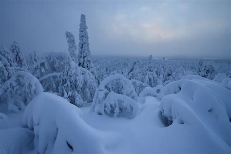 Finland, Nature, Snow, Winter Wallpapers HD / Desktop and Mobile ...