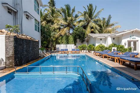 Zone Connect By The Park Calangute Goa Pool: Pictures & Reviews - Tripadvisor