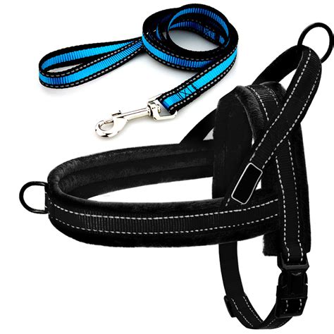 ^Easy To Walk^ Dog Front and Back Clip Harness and Leash Set - No-Pull – TRAITS