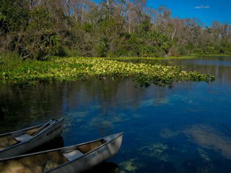 Wekiwa Springs State Park | Florida Hikes!