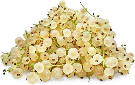 Delicious White Currant Recipes for Culinary Delights