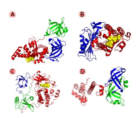 Annotation and prediction of protein function at the domain level - Computational Systems ...