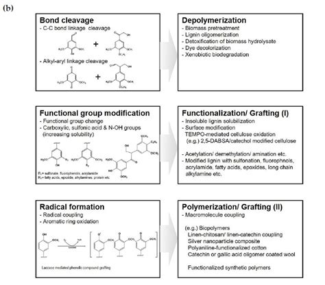 Summary of the potential applications of various lignin derivatives and ...