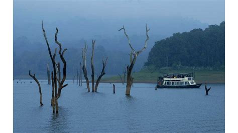 Thekkady Boating In 2021-Online Booking, Timings, Cost, Fare For ...