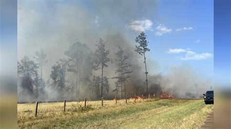 GOHSEP, others talk about wildfires in Louisiana, statewide burn ban