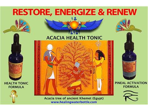 Ancient Egyptian Herbs of Power, Mushrooms and Acacia, Kilindi & KT ...