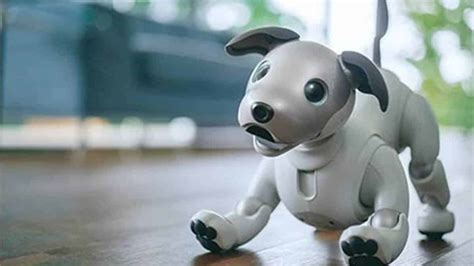 Aibo: conheça em detalhes o "cachorro-robô" da Sony que está cada vez mais real