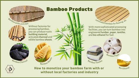 Bamboo products infographic - Bambu Batu