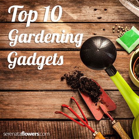 10 Best Gardening Gadgets