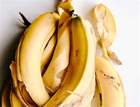 Can You Compost Banana Peels?