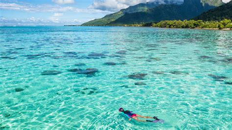 Swim With Incredible Wildlife At This Stunning French Polynesian Island