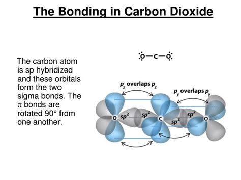 PPT - Chapter 9 PowerPoint Presentation - ID:4493524