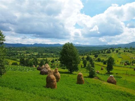 Romania Countryside