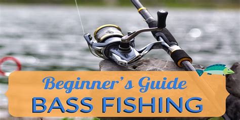 Bass Fishing: the Beginner’s Guide