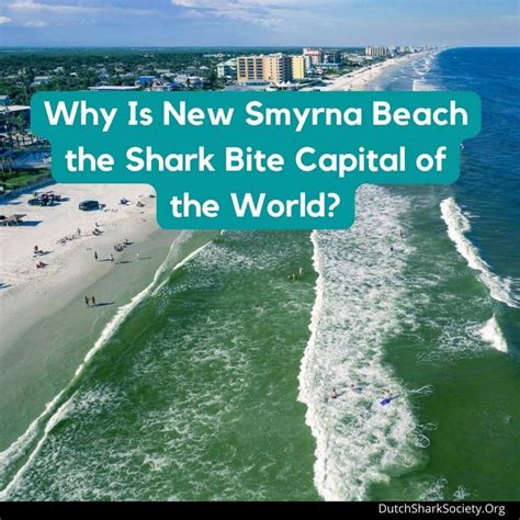 Why New Smyrna Beach Is The Shark Bite Capital Of The World - Dutch ...