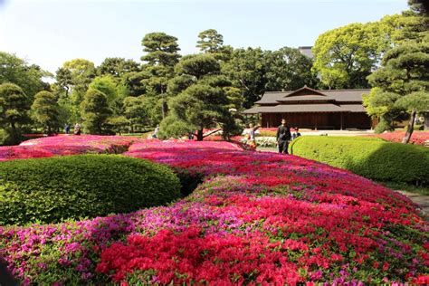 Four Amazing Azalea Spots in Tokyo to See in a Day | JAPAN Forward