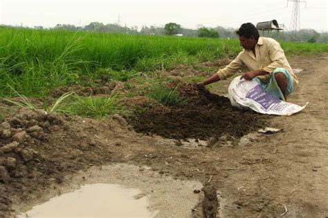 Rhino poop gives villagers in India a conservation incentive