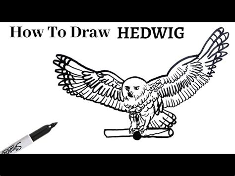 How To Draw HEDWIG Easy! | Step-by-step Tutorial On Drawing The Snowy ...