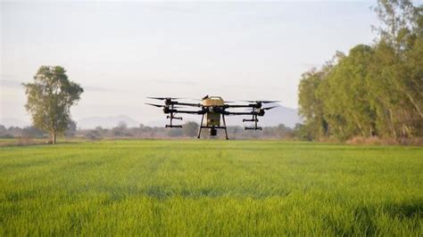 Drone Agriculture Stock Photos, Images and Backgrounds for Free Download