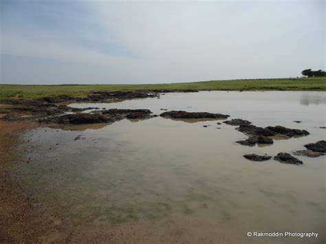 Kas Pathar - Flowers valley in Maharashtra - Journey & Life.