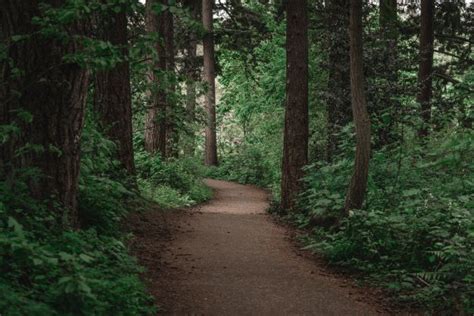 The Best of Oregon: 5 Iconic Hiking Trails Explored – life in utopia