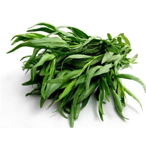 Tarragon Seeds Herb (Artemisia dracunculus) - Price €2.25