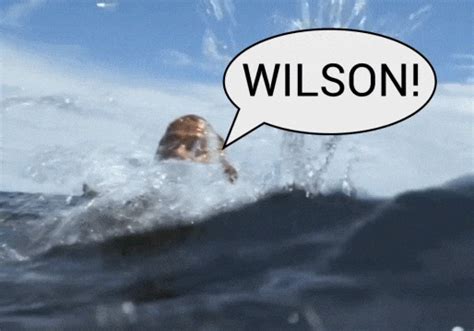 Cast Wilson GIF - Find & Share on GIPHY