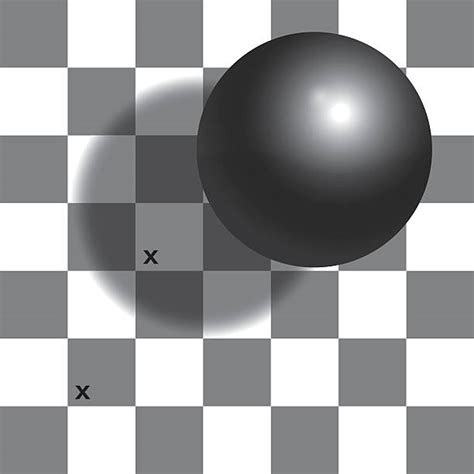 60+ Checker Shadow Illusion Stock Photos, Pictures & Royalty-Free ...