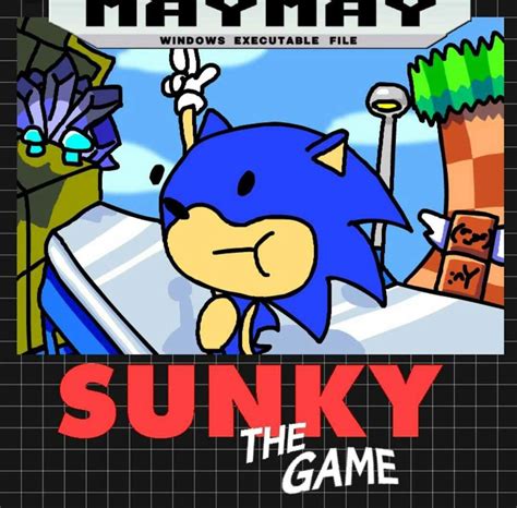 Sunky The Hedgehog | Sonic the Hedgehog! Amino