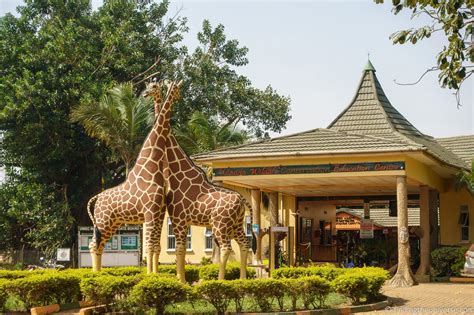 14 Things To Do In Entebbe Uganda - Finding The Universe - City Magazine