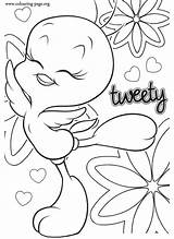Free Tweety Bird Coloring Sheets Download  sketch template