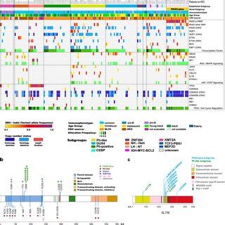 The novel subgroup is defined by a distinct profile of sequence... | Download Scientific Diagram