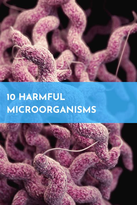 10 Harmful microorganisms