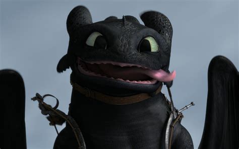 Pin by Onceuponatime on ~ •Dreamworks | How train your dragon, Toothless dragon, How to train ...