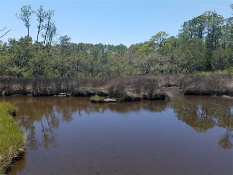 Fort Mose Historic State Park - 38 Photos - Parks - 15 Fort Mose Trl, St. Augustine, FL - Phone ...