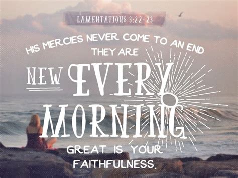 Lamentations 3:22-23 | Lamentations, New day bible verse, Lamentations 3 22