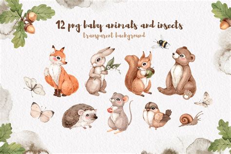 Watercolor Forest Animals set | Watercolor paintings of animals, Forest ...