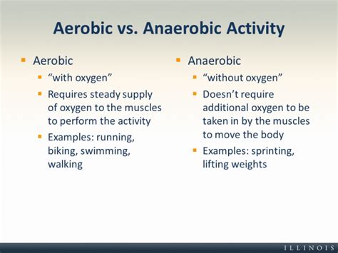 Anaerobic Exercise Examples