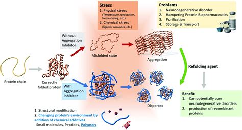 How To Prevent Protein Aggregation - Documentride5