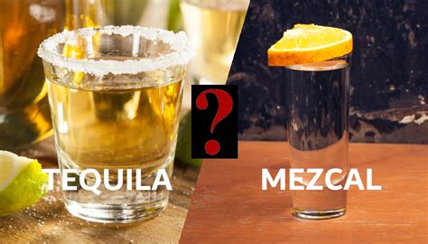 Tequila versus Mezcal: What Is the Difference?