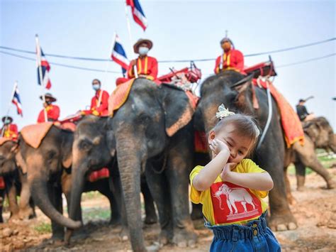 Photos: Thailand celebrates Elephant Day, hoping tourists will return | News-photos – Gulf News