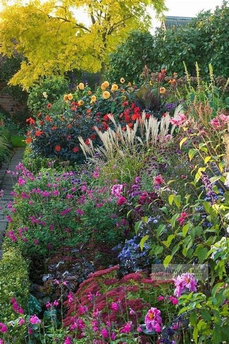 If you want to make a perennial cottage garden, these are the plants ...