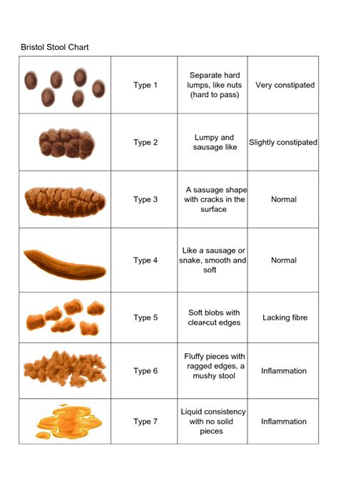 Best Bristol Stool Form Chart in the world Check it out now | stoolz