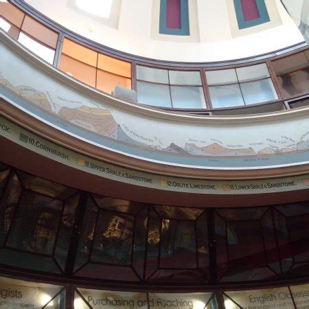 Rotunda Museum (Scarborough) - 2018 All You Need to Know Before You Go (with Photos) - TripAdvisor