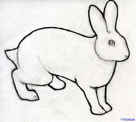 Bunny Pencil Drawing | Free download on ClipArtMag