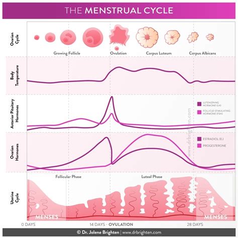 Sleep Problems Before and During Your Period