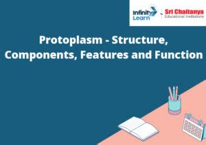 Protoplasm - Structure, Components, Features and Function