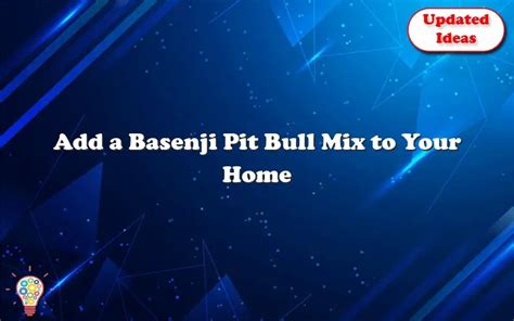 Add A Basenji Pit Bull Mix To Your Home - Updated Ideas